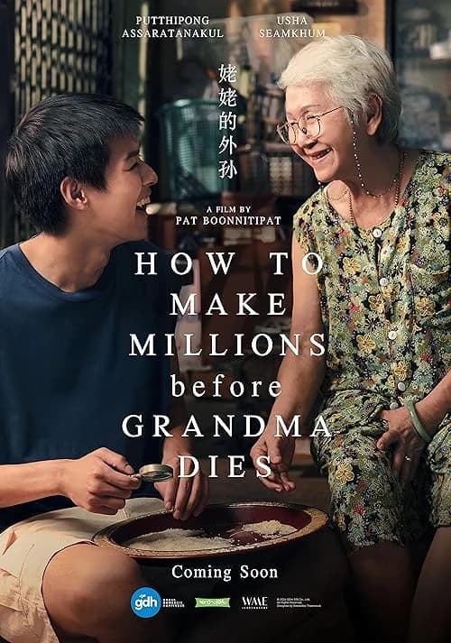 How to Make Millions Before Grandma Dies film posteri